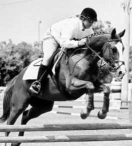 HorsepowerQld